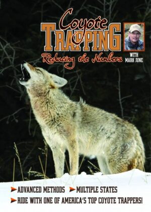 Coyote howling in snow with text promoting "Coyote Trapping" featuring Mark June. Includes advanced methods and multi-state info.