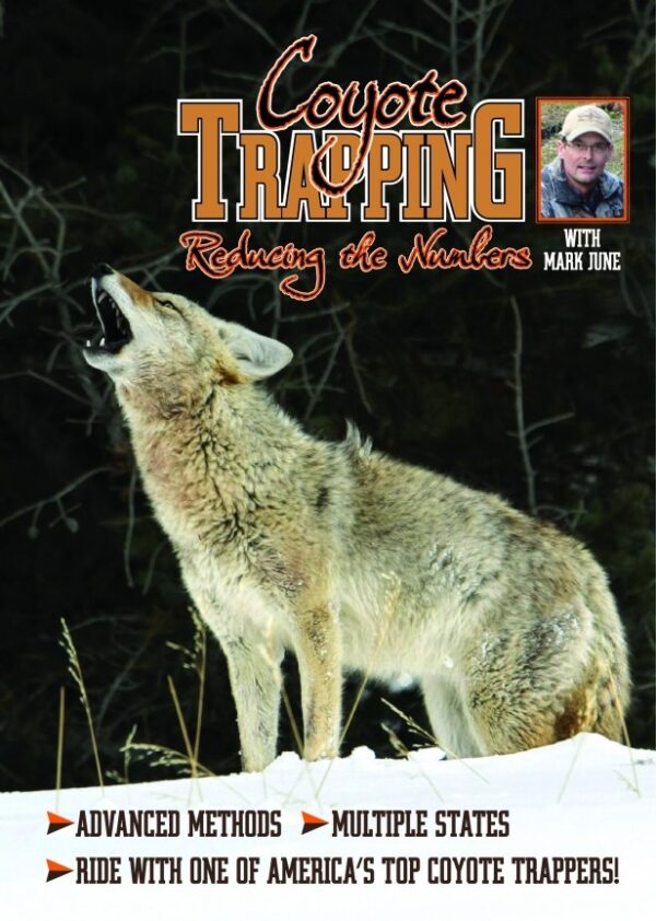 Coyote howling in snow with text promoting "Coyote Trapping" featuring Mark June. Includes advanced methods and multi-state info.