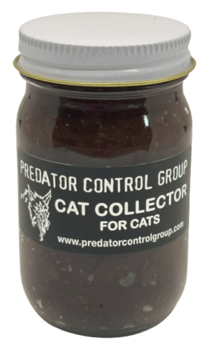PCG Cat Collector
