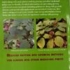 John Epler, Jr. - All About Ginseng
