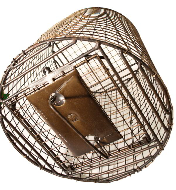 Roll Cage