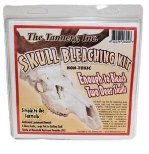 Skull Bleaching Kit | The Tannery Inc.