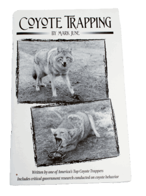 The "Coyote Trapping" book by Mark June has B&W photos of coyotes, with one standing and another snarling.
