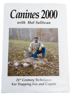 DVD cover for "Hal Sullivan - Canines 2000" shows canine trapping, man with captured foxes and coyote.