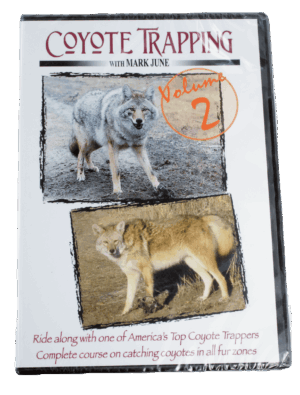 DVD cover for "Mark June - Coyote Trapping II" with coyote images and expert trapping tips.