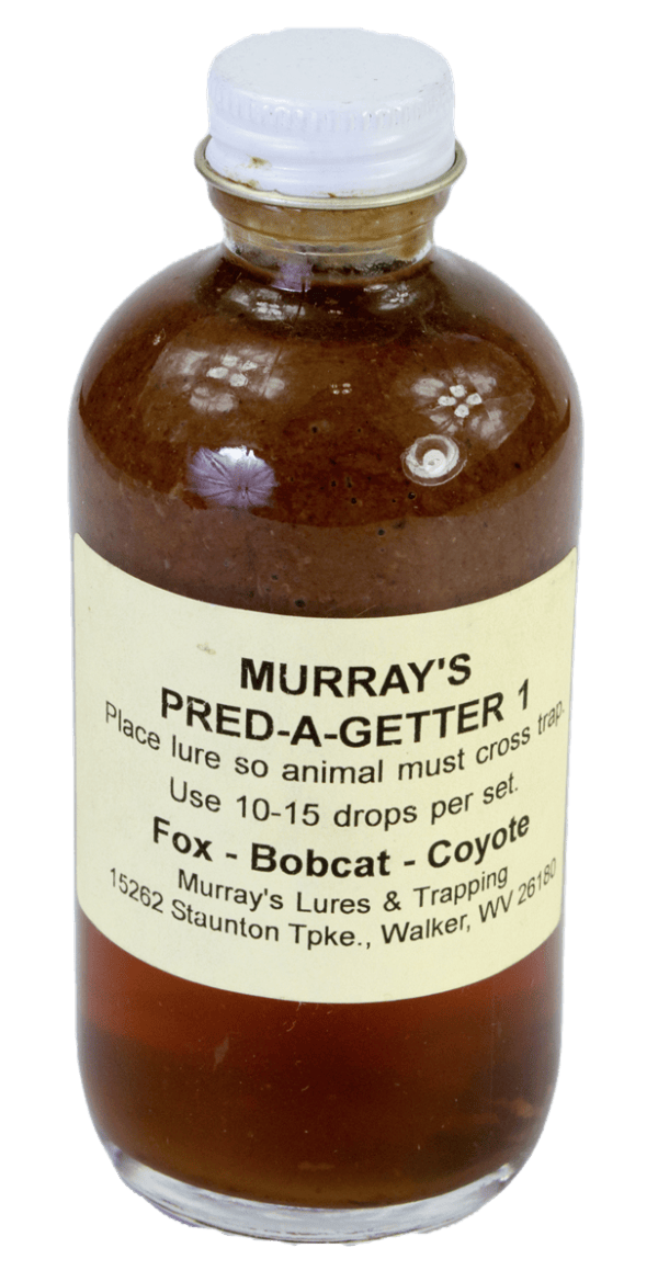 A brown glass bottle labeled "Murray's Pred-A-Getter #1 Lure" with instructions for trapping foxes and bobcats.