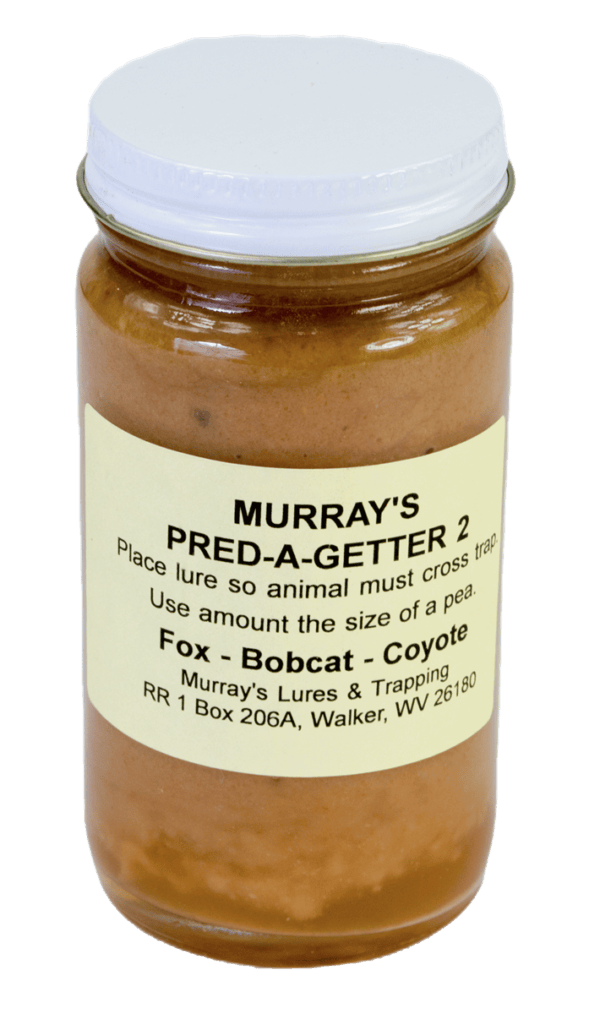 Jar of Murray's Pred-A-Getter #2 Lure, ideal for trapping bobcats, foxes, and coyotes; includes contact info on label.