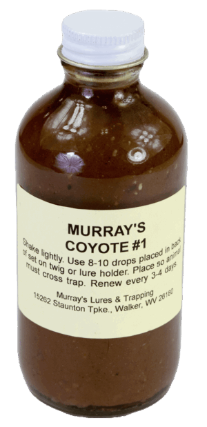 Murray's Coyote #1 Lure bottle includes trapping instructions and address details on the label.
