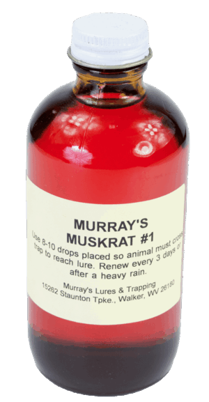 The "Murray's Muskrat #1 Lure" bottle contains red liquid with trap lure instructions on the front.