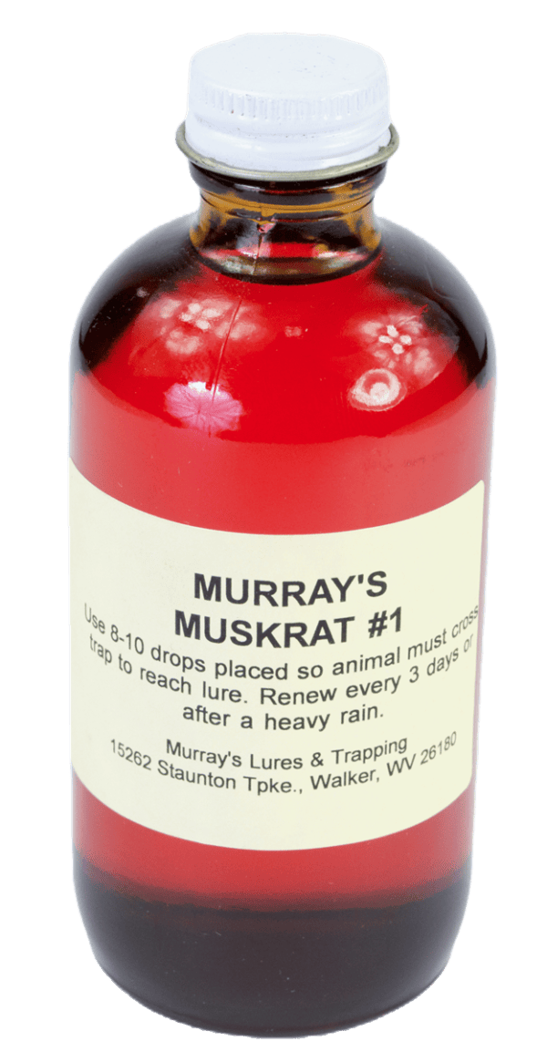 The "Murray's Muskrat #1 Lure" bottle contains red liquid with trap lure instructions on the front.