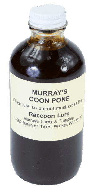 A bottle of Murray's Coon Pone Lure from Walker, WV contains brown liquid for use as a coon trapping lure.
