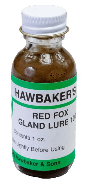 1 oz brown bottle with a green and white label reading "Hawbaker's Red Fox Gland Lure 100," perfect for trapping.