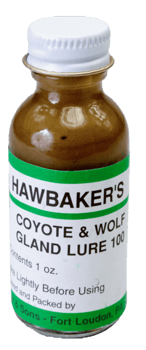 1 oz bottle labeled "Hawbaker's Coyote & Wolf Gland Lure 100" with a white cap and green accents.