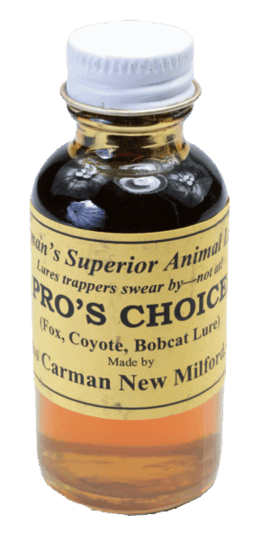 Amber liquid in a glass bottle with a white cap, Carman's Pro's Choice Lure attracts fox, coyote, and bobcat.