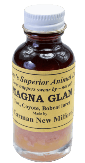A small glass bottle labeled "Carman's Magna Glan Lure," a perfect trapping lure for foxes, coyotes, and bobcats.