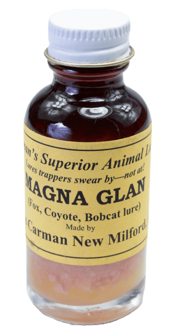 A small glass bottle labeled "Carman's Magna Glan Lure," a perfect trapping lure for foxes, coyotes, and bobcats.