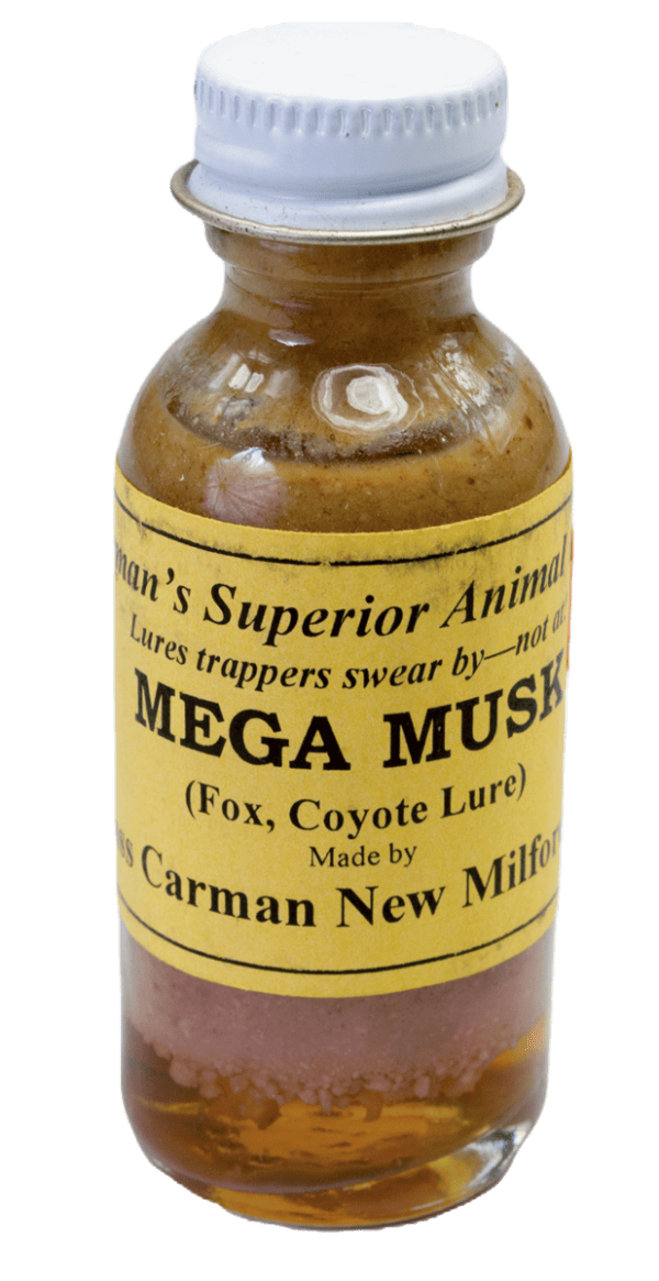 Carman's Mega Musk Lure, a trapping lure for foxes and coyotes, comes in a small glass bottle with a metal cap.