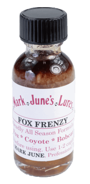 Small bottle labeled "Mark June's Fox Frenzy Lure," for attracting foxes, coyotes, and bobcats.