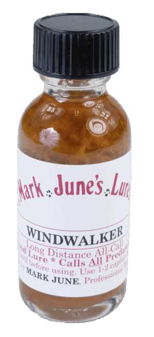 A small "Mark June's Windwalker Lure" bottle with a dark cap, containing brown trapping lure liquid.