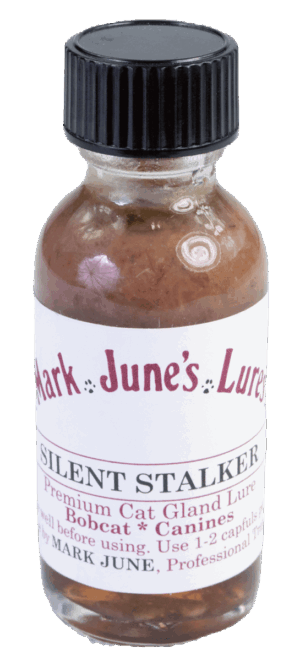 A bottle of Mark June's Silent Stalker Lure, a premium bobcat lure for canines, includes usage instructions.