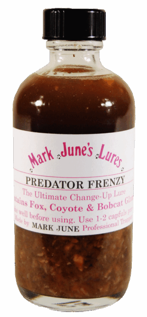 A bottle of Mark June's Predator Frenzy Lure to attract foxes, coyotes, and bobcats.