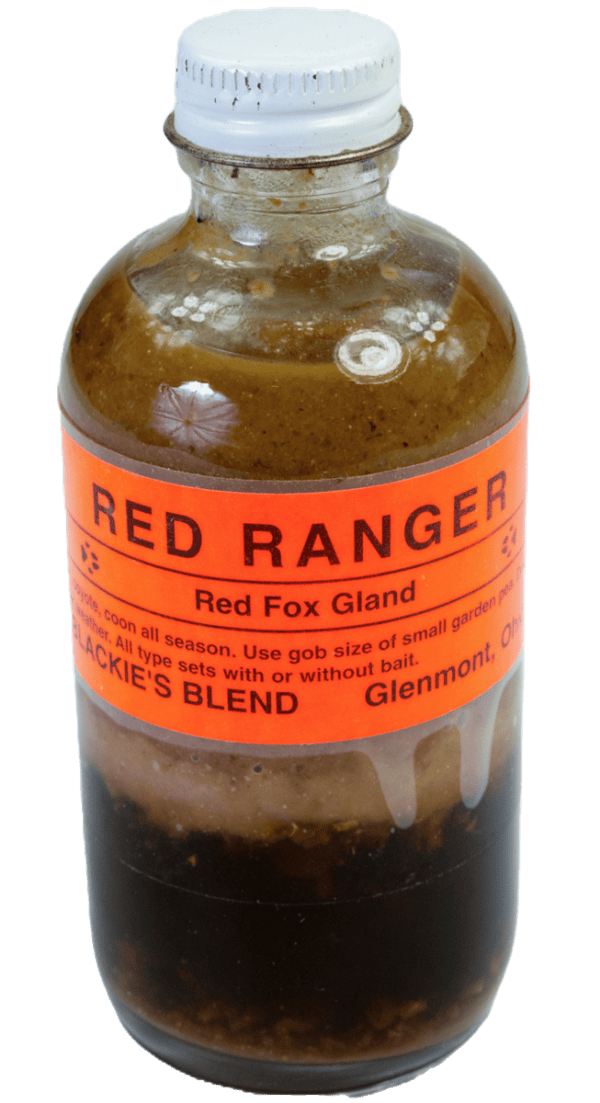 A "Blackie's Red Ranger Lure" bottle with layered liquid and a white screw cap, perfect for trapping lure enthusiasts.