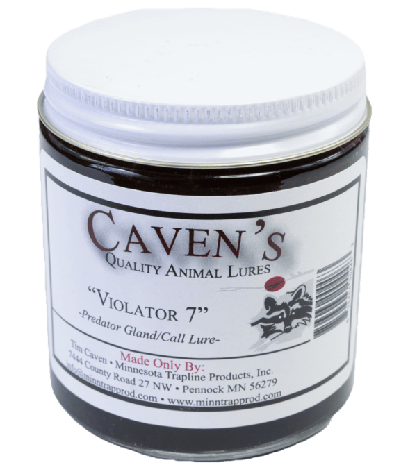Jar of Caven's Violator 7 Lure, a predator gland trap lure for coyotes and bobcats from Minnesota Trapline Products.