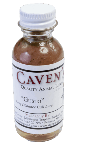 A Caven's Gusto Lure bottle, a top bobcat lure for long-distance calling, made in Minnesota.