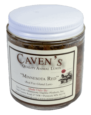 Jar of Caven's Minnesota Red Lure for red foxes, featuring white lid.