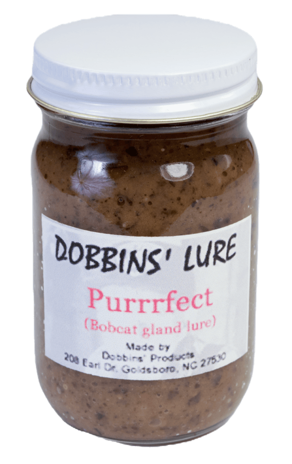 A jar labeled "Dobbins' Purrrfect Lure," a bobcat gland lure, details its manufacturing in Goldsboro, NC.