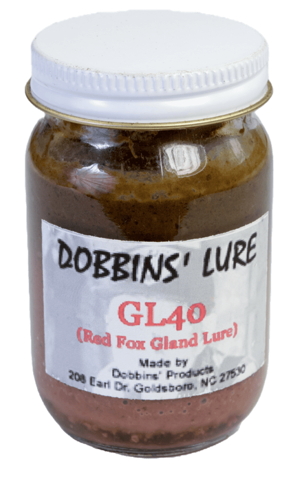 Jar labeled "Dobbins' G.L. 40 Lure," with red fox gland essence from Goldsboro, NC. Contains brown substance.