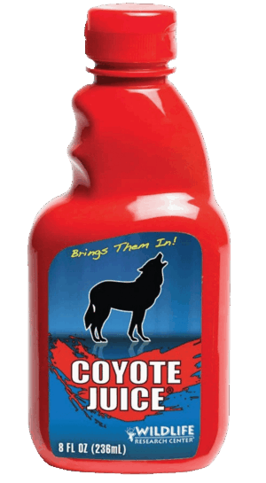 Red bottle of 8 fl oz Wildlife Research Coyote Juice with wolf logo, labeled "Brings Them In!.