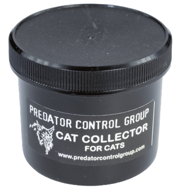 Black "PCG Cat Collector" container, perfect bobcat lure, with website URL below.