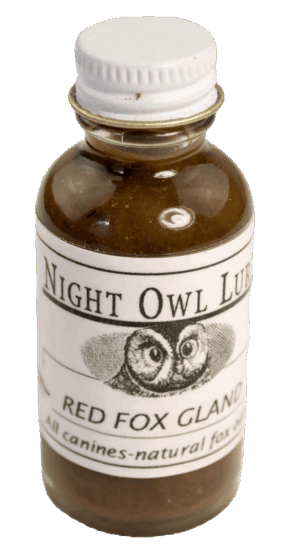 A small glass bottle labeled "Night Owl Red Fox Gland Lure" with an owl illustration, containing brown liquid.