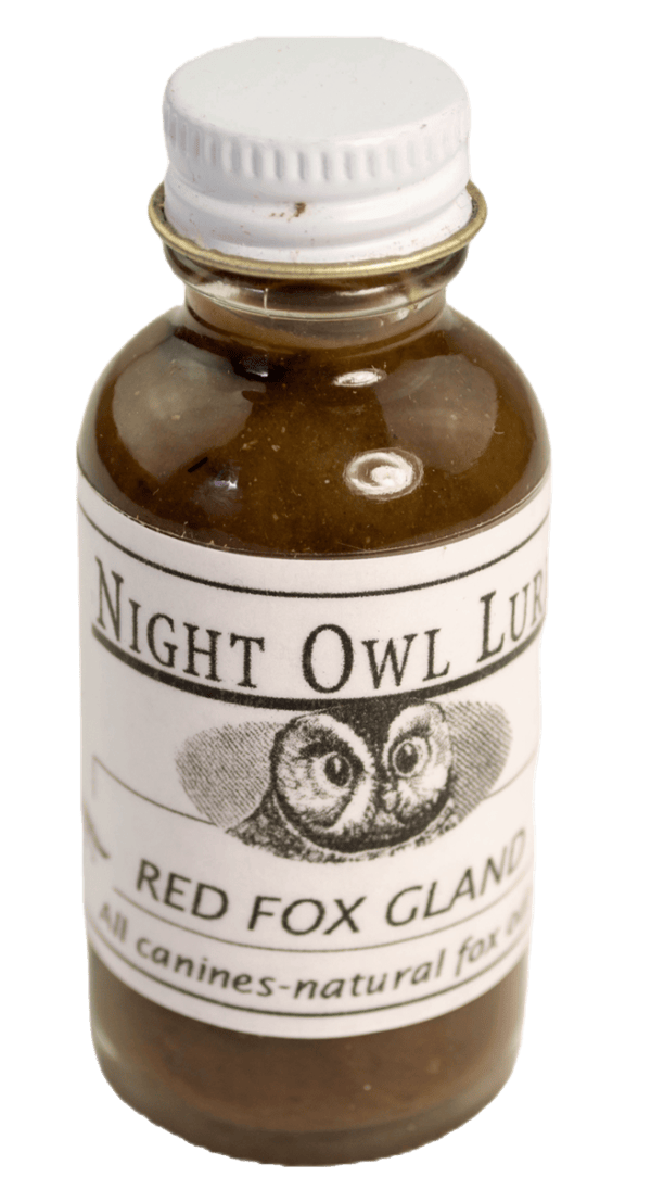 A small glass bottle labeled "Night Owl Red Fox Gland Lure" with an owl illustration, containing brown liquid.