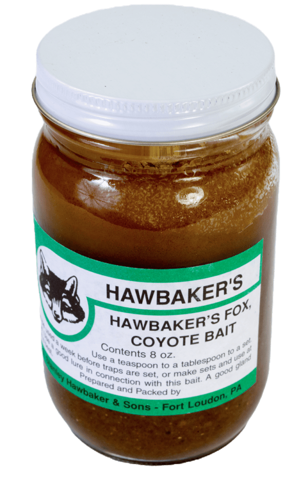 Glass jar labeled "Hawbaker's Fox & Coyote Bait," trapping bait with green sticker; contains 8 oz of effective bait.