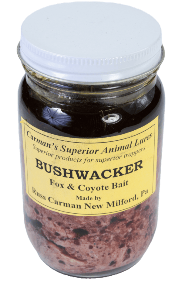 Carman's Bushwacker Bait jar with yellow label, ideal for fox and coyote trapping with its dark contents.