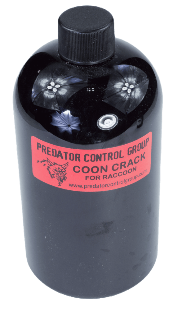 A black bottle with a red label reads "PCG Coon Crack Bait"—the perfect raccoon bait.