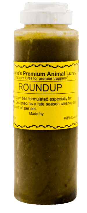 A yellow-labeled bottle of Renno's Roundup DP Bait with brown liquid for effective raccoon trapping.