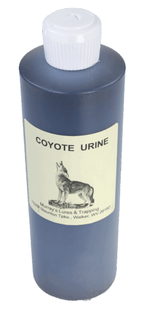 Murray's Coyote Urine with Antifreeze, featuring a coyote image, is ideal for predator deterrence.