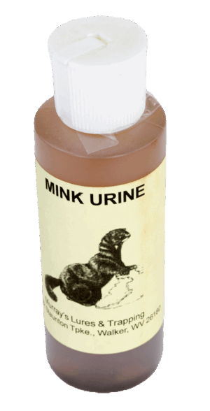 A small Murray's Mink Urine with Antifreeze bottle, featuring a mink image and contact info, ideal for trapping.