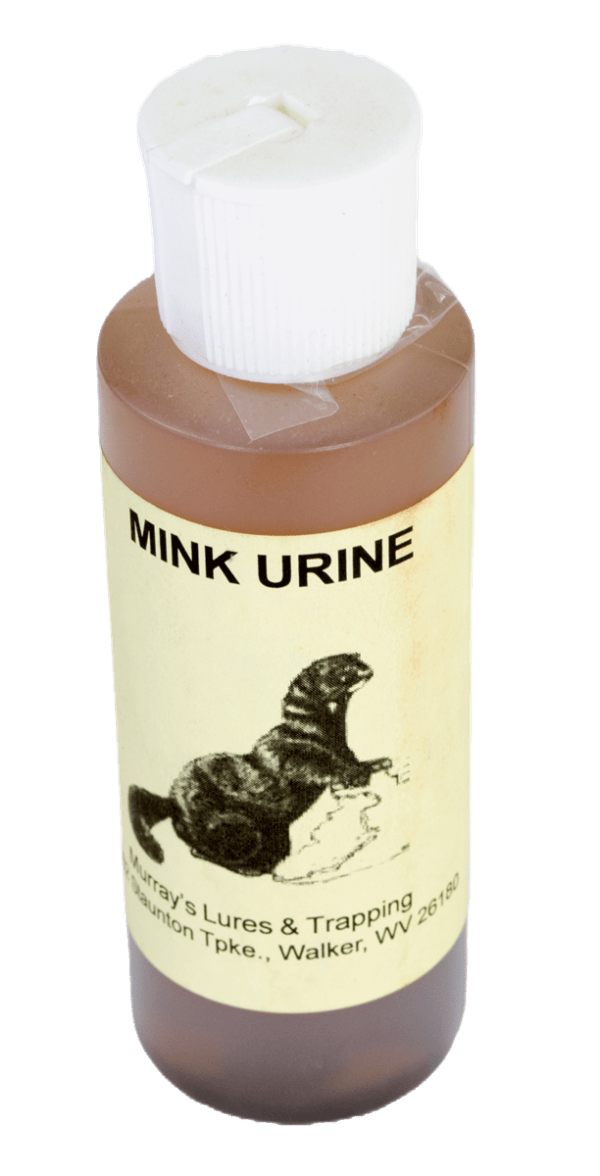 A small Murray's Mink Urine with Antifreeze bottle, featuring a mink image and contact info, ideal for trapping.