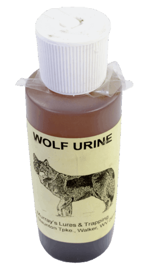 Small bottle marked "Murray's Wolf Urine with Antifreeze," featuring a wolf, for trapping or as predator urine lure.