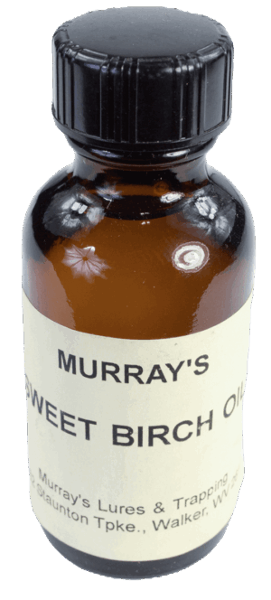 Brown glass bottle labeled "Murray's Sweet Birch Oil," featuring a black cap with details on its origin and company.
