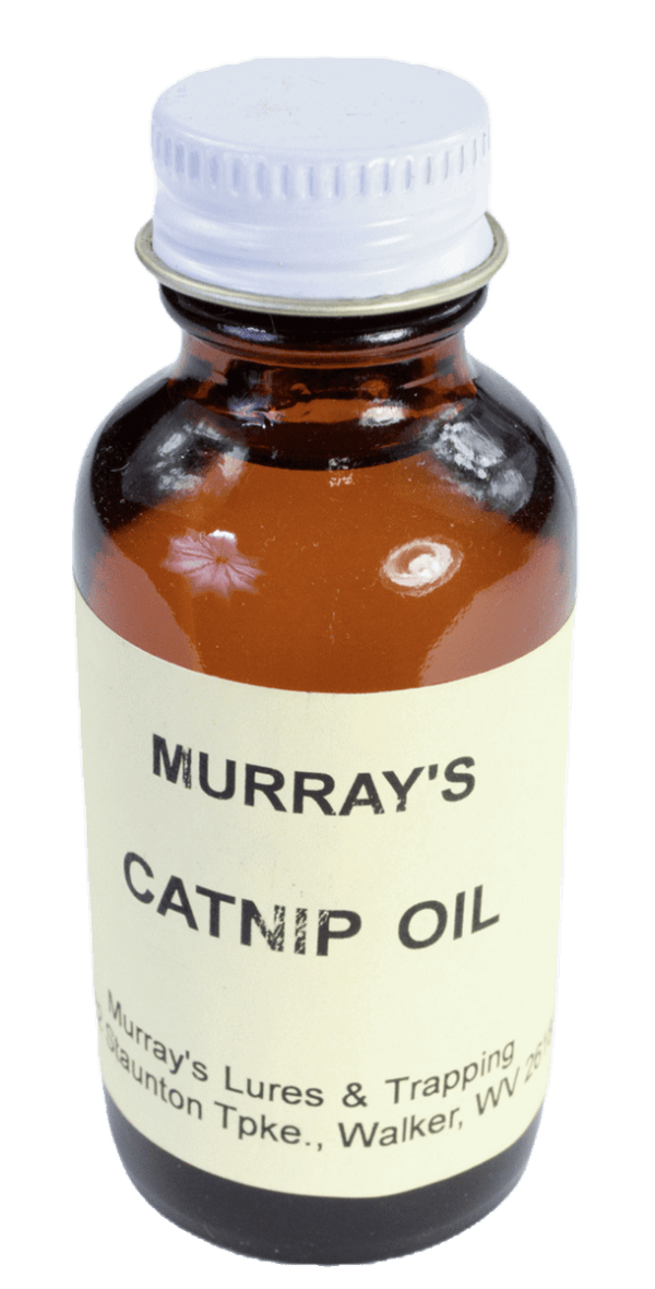 Brown glass bottle of Murray's Catnip Oil, an essential oil with a white cap, ideal for attracting cats.