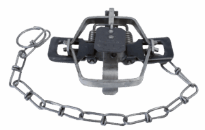 Bridger #1 Regular Jaw Coil Spring Trap: features chain and spring-loaded jaws for effective trapping.