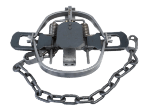 Bridger #1.65 Regular Jaw Coil Spring Trap includes a chain, two springs, and a central trigger plate.