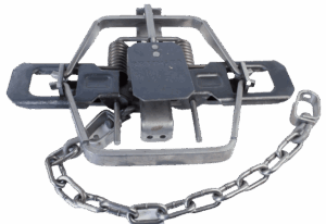 The Bridger #2 Offset Jaw Coil Spring Trap uses a spring mechanism and chain for capturing wildlife.