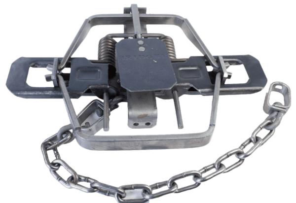 The Bridger #2 Offset Jaw Coil Spring Trap uses a spring mechanism and chain for capturing wildlife.