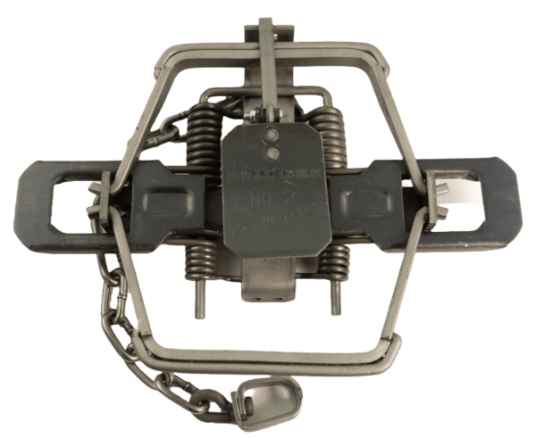 The Bridger #2 trap captures wildlife securely with offset jaws, coil springs, and an attached chain.